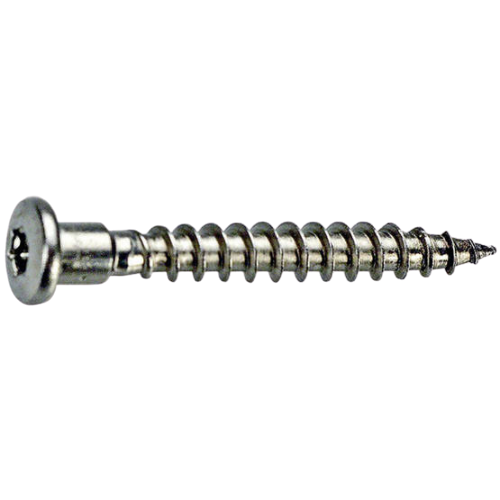 Fixmaster nurgikukruvi 4,8x40 Tx20 C2 (250tk/karp)